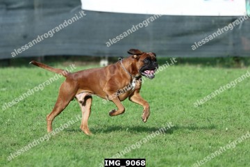 IMG_9068.jpg