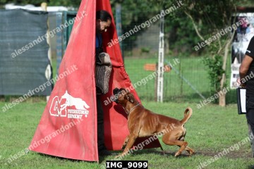 IMG_9099.jpg