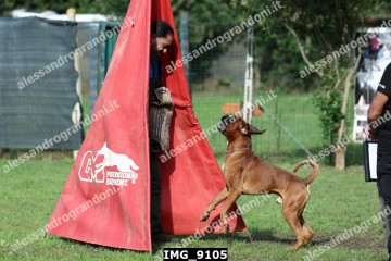 IMG_9105.jpg