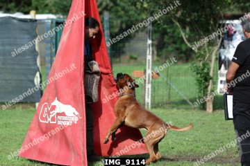 IMG_9114.jpg
