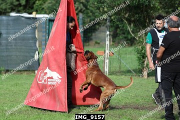 IMG_9157.jpg