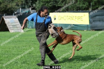 IMG_9203.jpg