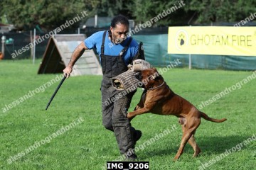 IMG_9206.jpg