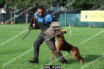 IMG_9209.jpg