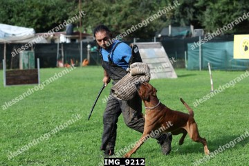 IMG_9212.jpg