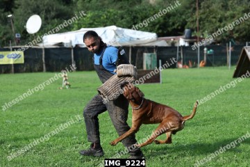 IMG_9224.jpg