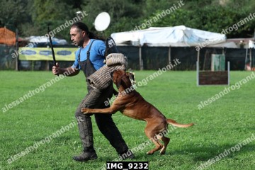 IMG_9232.jpg
