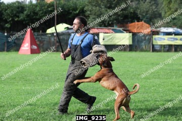 IMG_9235.jpg