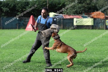 IMG_9241.jpg