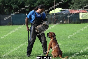 IMG_9263.jpg