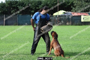 IMG_9277.jpg