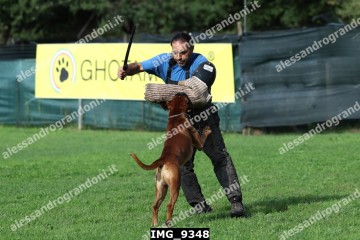 IMG_9348.jpg