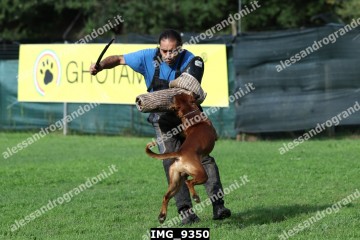 IMG_9350.jpg