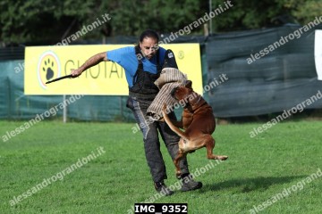 IMG_9352.jpg