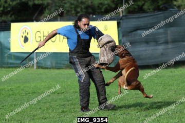 IMG_9354.jpg