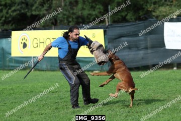 IMG_9356.jpg