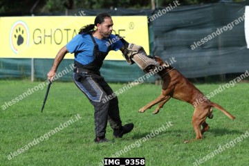 IMG_9358.jpg