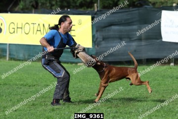 IMG_9361.jpg