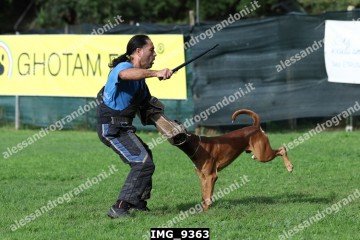 IMG_9363.jpg