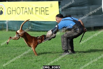 IMG_9383.jpg