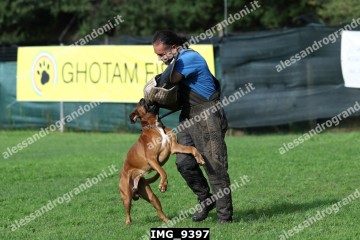 IMG_9397.jpg