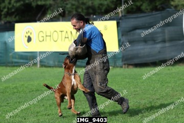 IMG_9403.jpg