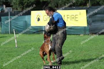 IMG_9412.jpg