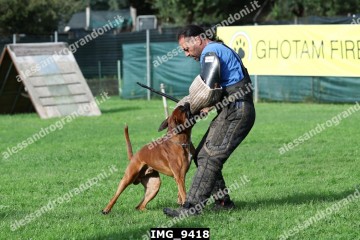 IMG_9418.jpg