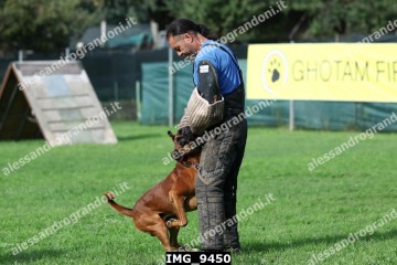 IMG_9450.jpg