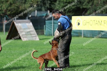 IMG_9456.jpg