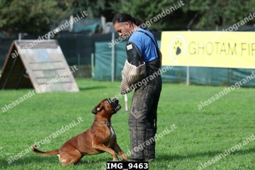 IMG_9463.jpg