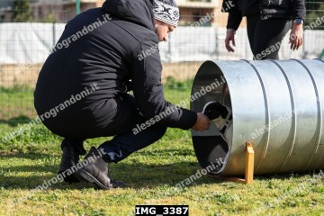 IMG_3387.jpg