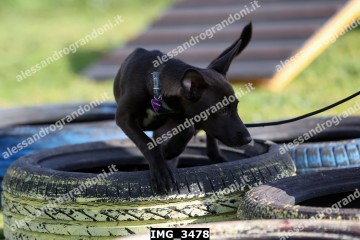 IMG_3478.jpg
