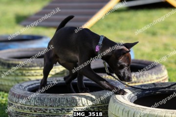 IMG_3518.jpg