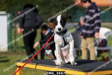 IMG_3567.jpg