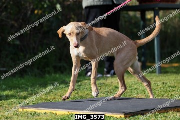 IMG_3573.jpg
