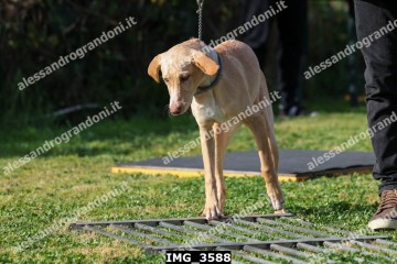 IMG_3588.jpg