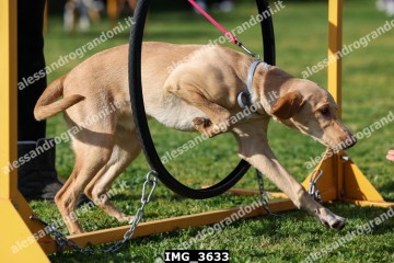 IMG_3633.jpg