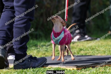IMG_3660.jpg