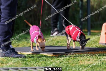 IMG_3663.jpg