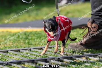 IMG_3710.jpg