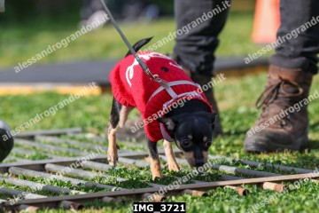 IMG_3721.jpg