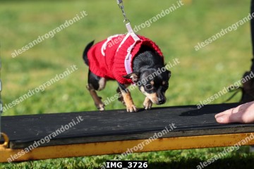 IMG_3726.jpg