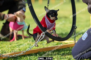IMG_3791.jpg