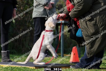 IMG_3824.jpg