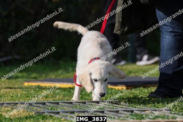 IMG_3837.jpg