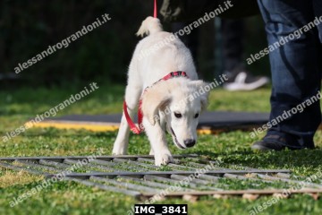 IMG_3841.jpg