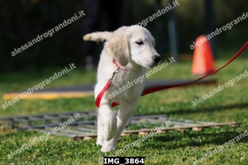 IMG_3864.jpg