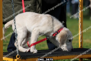 IMG_3875.jpg