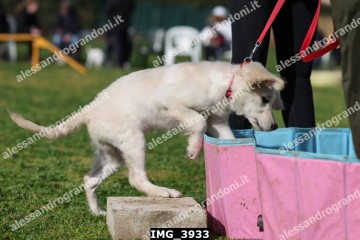 IMG_3933.jpg